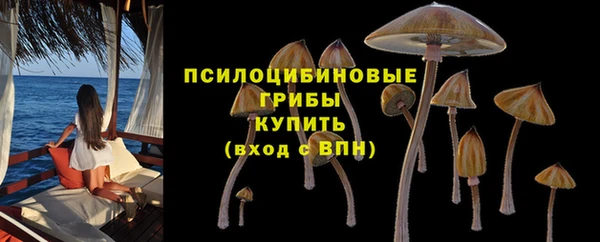 спайс Вяземский