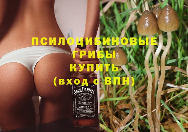 герыч Вязьма