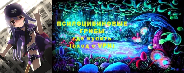 2c-b Володарск