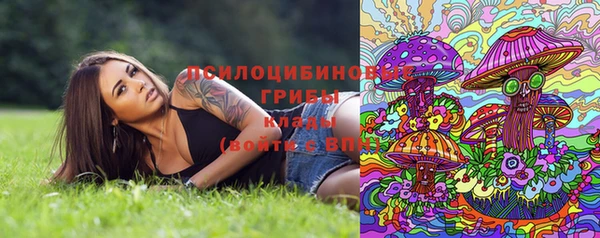 спиды Вязники