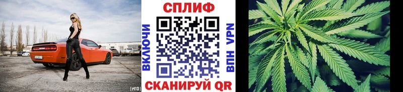 Конопля конопля  Зерноград 